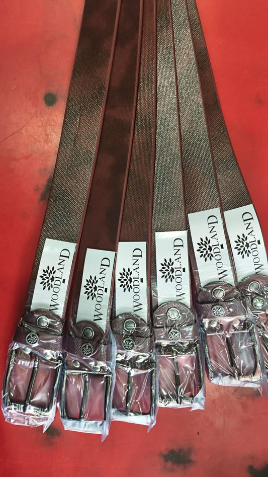 Stylish Men Belt